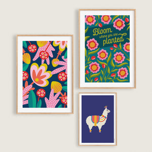 Alien Jungle, Bloom Where You Are Planted and Festival Llama colourful art prints, framed in wood frames as a set of 3