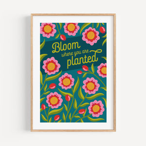 Bloom Where You Are Planted colourful floral art print, A4 size, multicoloured illustration, in a wood frame